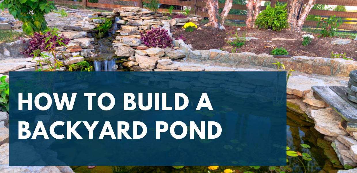 How to Build a Pond in Your Backyard